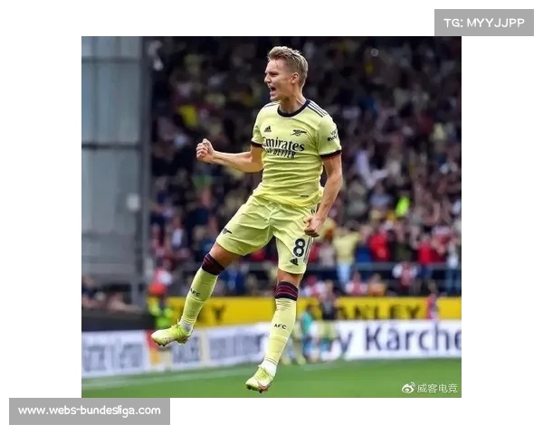 阿森纳主场草皮引入地热系统，保障冬季比赛质量